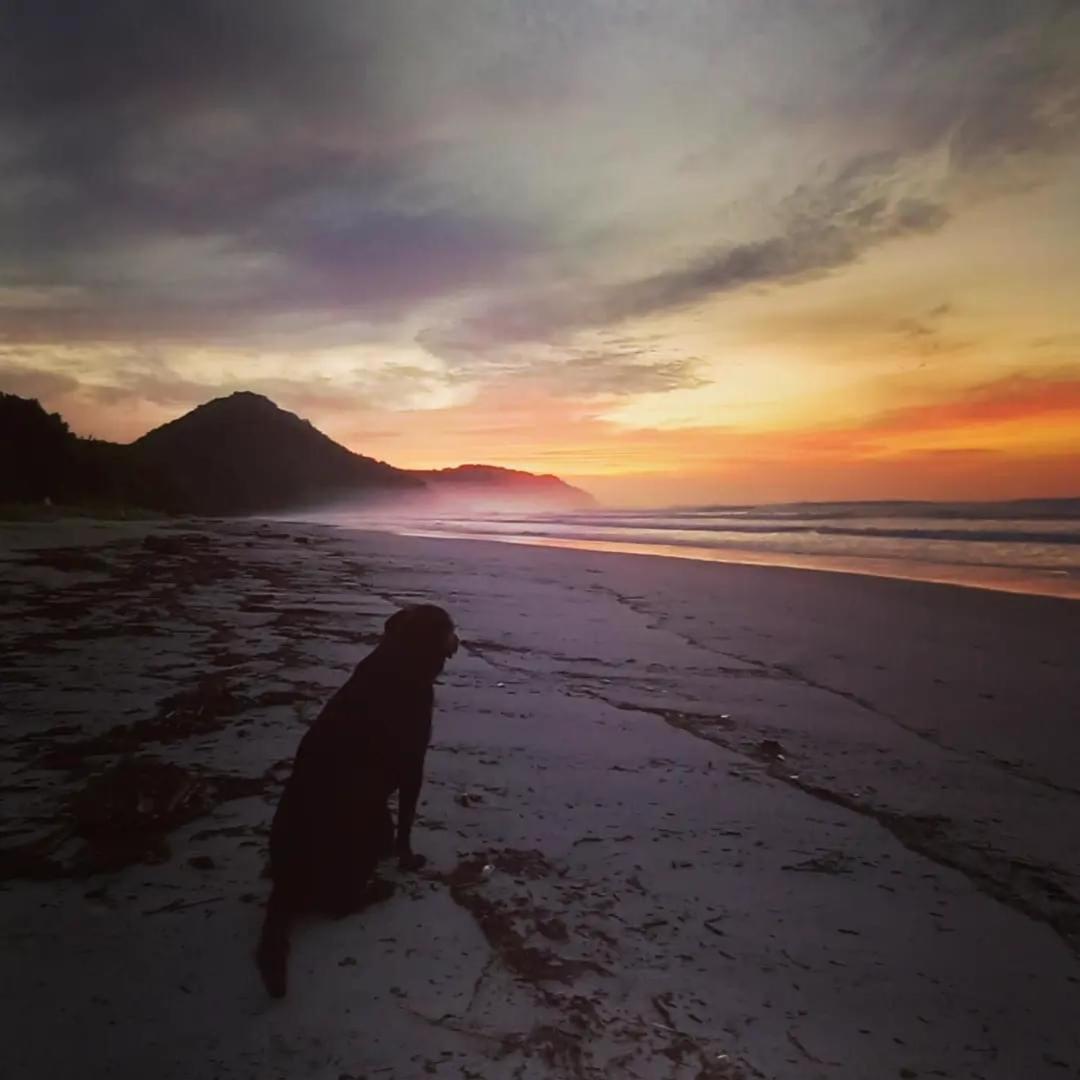 Praia De Itamambuca- Casa Charmosa E Iluminada Убатуба Екстер'єр фото